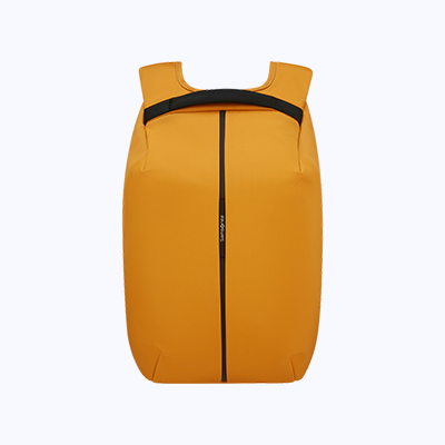 Samsonite Securipak